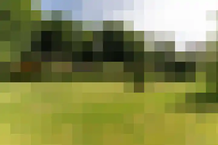 Schoterweg 5 A Bant thumbnail 36