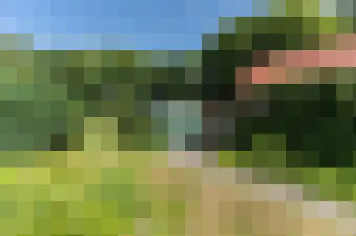 Schoterweg 5 A Bant thumbnail 40
