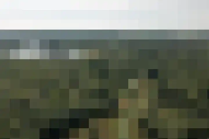 Schoterweg 5 A Bant thumbnail 42