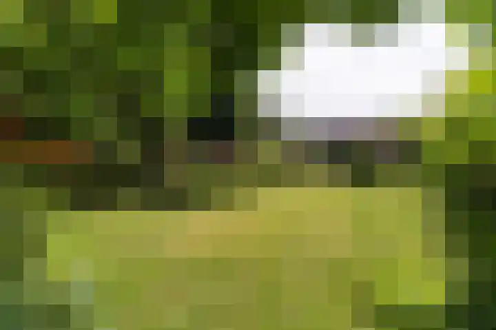 Schoterweg 5 A Bant thumbnail 6
