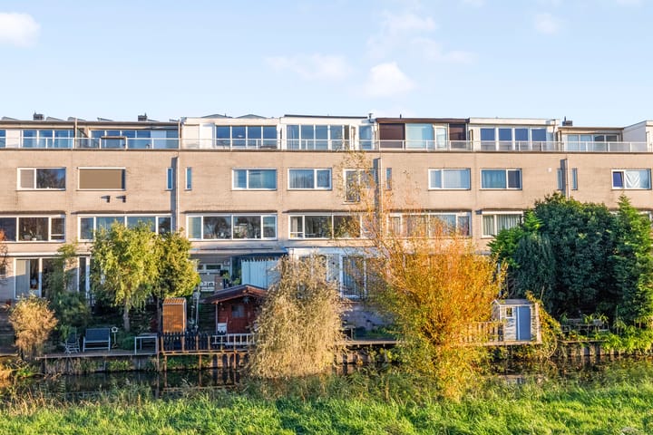 Schotse Hooglanden 14C in Amsterdam foto