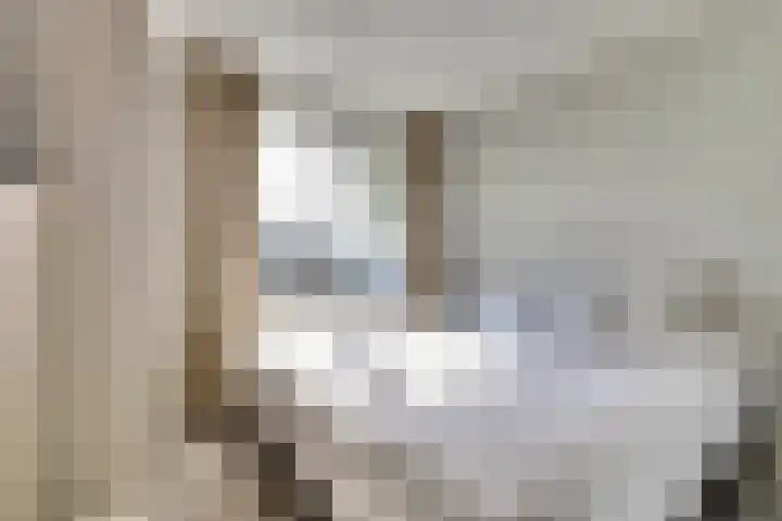 Schouman 3 Monster thumbnail 11