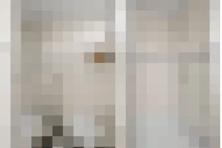Schouman 3 Monster thumbnail 12