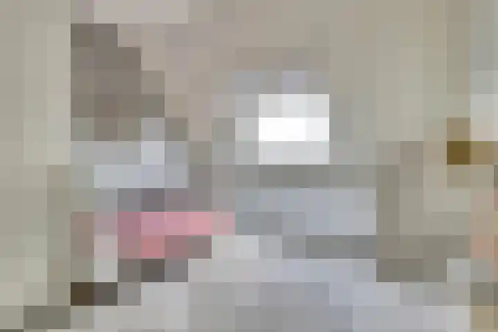 Schouman 3 Monster thumbnail 17