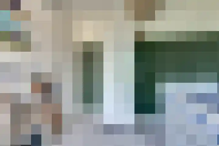 Schouman 3 Monster thumbnail 19