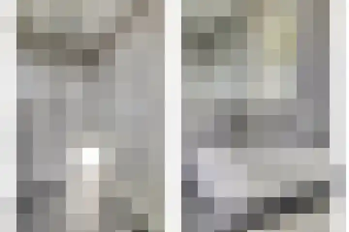 Schouman 3 Monster thumbnail 25