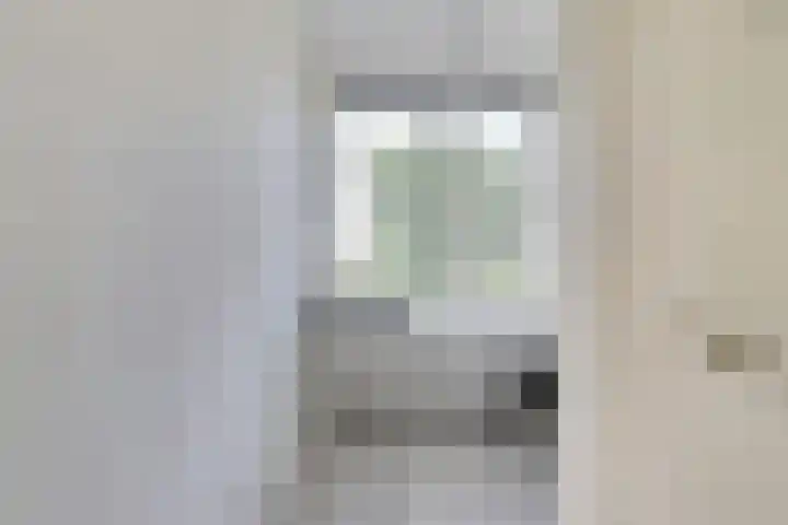 Schouman 3 Monster thumbnail 26