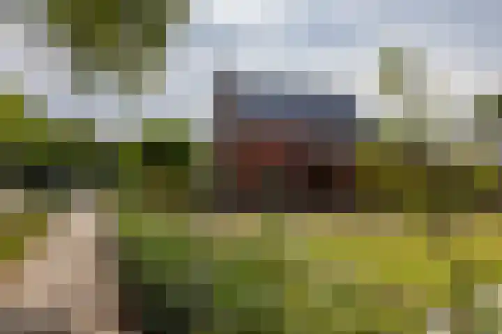 Schouman 3 Monster thumbnail 27