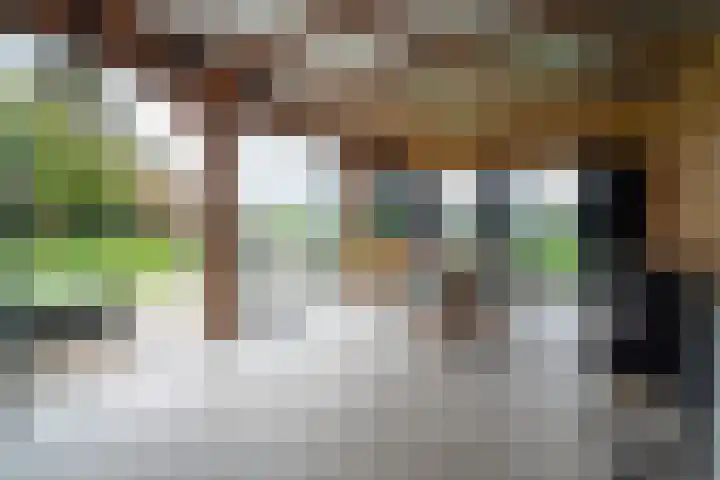 Schouman 3 Monster thumbnail 34