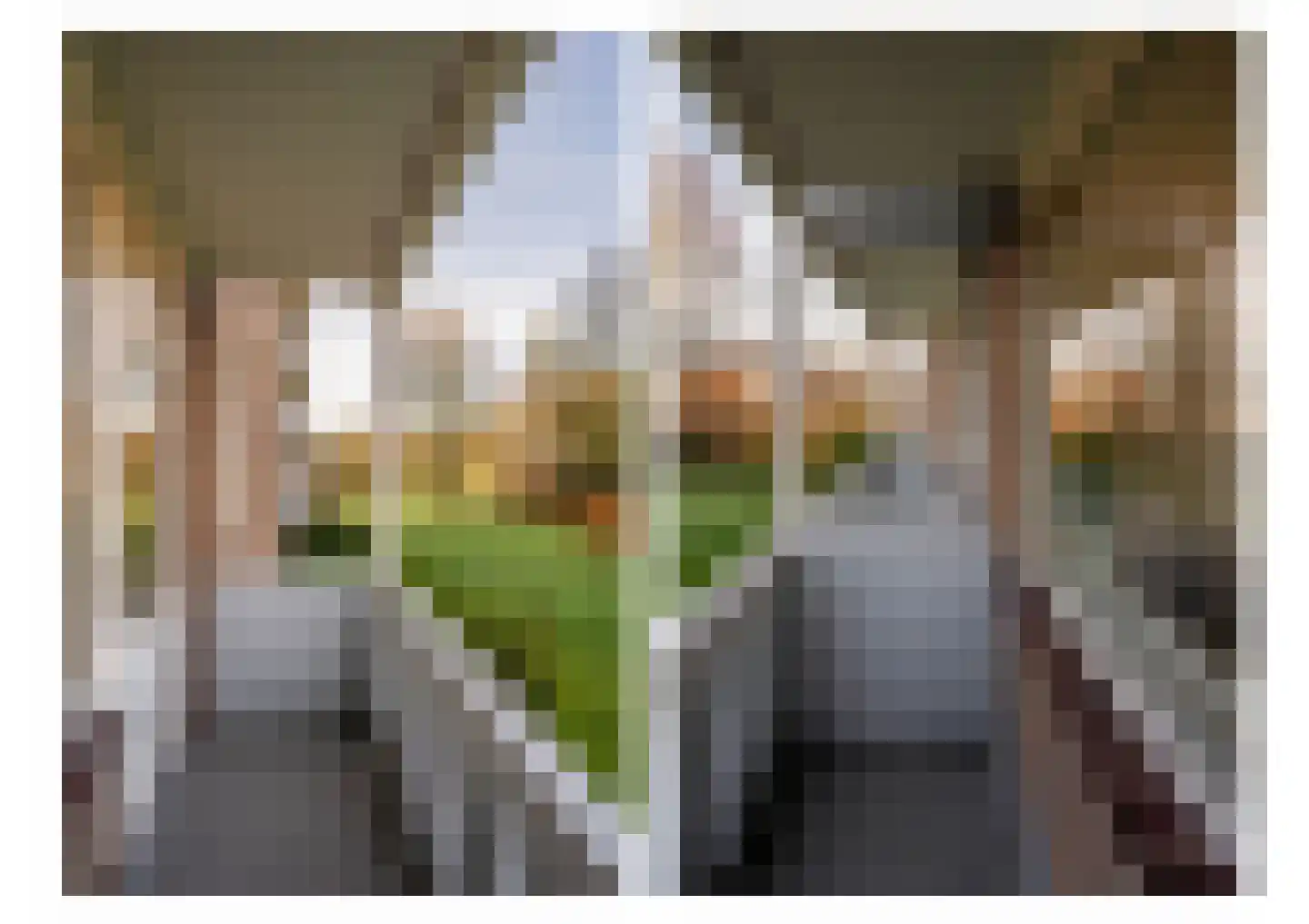 Schouman 3 Monster thumbnail 36
