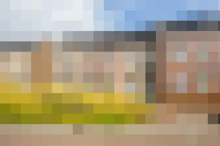 Schouman 3 Monster thumbnail 40