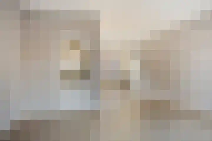 Schouman 3 Monster thumbnail 41