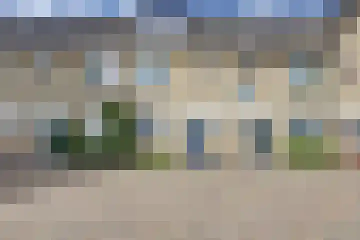 Schouman 3 Monster thumbnail 49