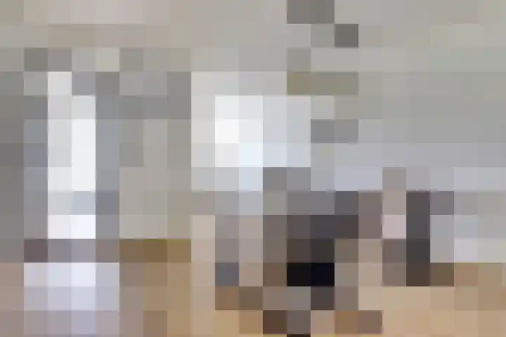 Schouman 3 Monster thumbnail 7
