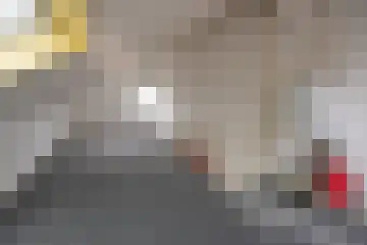 Schout 24 Naarden thumbnail 10