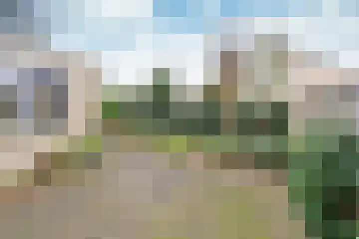 Schout 24 Naarden thumbnail 14