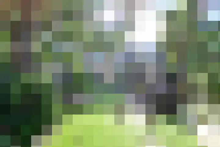 Schout 46 Naarden thumbnail 25