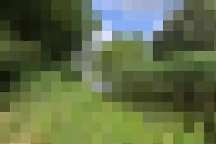 Schout 46 Naarden thumbnail 31