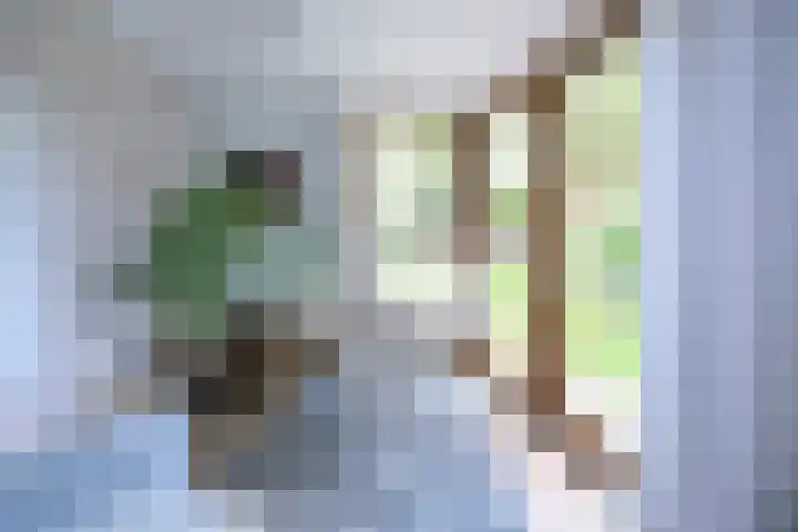 Schout 46 Naarden thumbnail 4