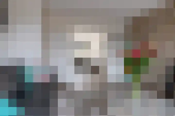 Schoutambt 20 Steenwijk thumbnail 12