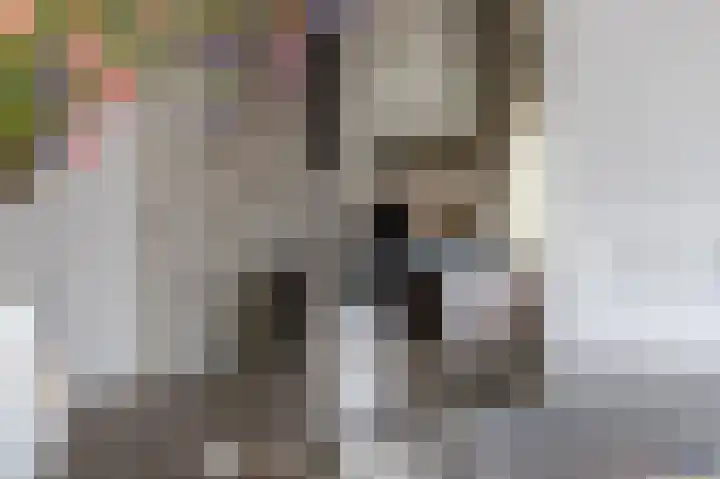Schoutambt 20 Steenwijk thumbnail 22