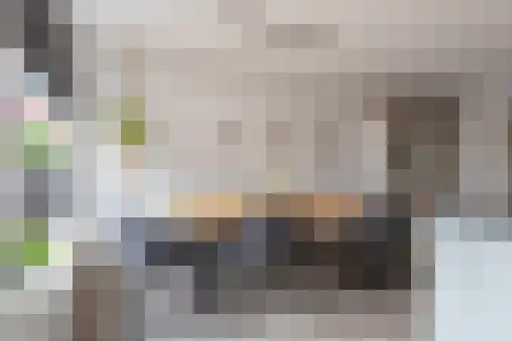 Schoutambt 20 Steenwijk thumbnail 24