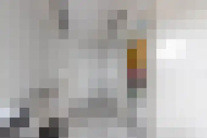 Schoutambt 20 Steenwijk thumbnail 45