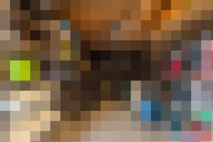 Schoutambt 20 Steenwijk thumbnail 53