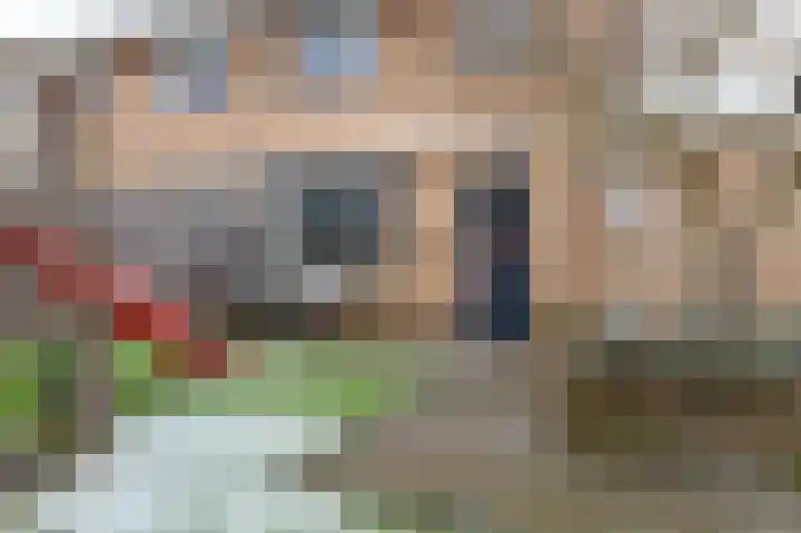 Schoutambt 20 Steenwijk thumbnail 55