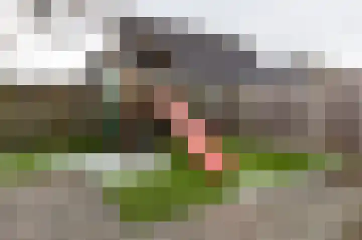 Schoutambt 20 Steenwijk thumbnail 57