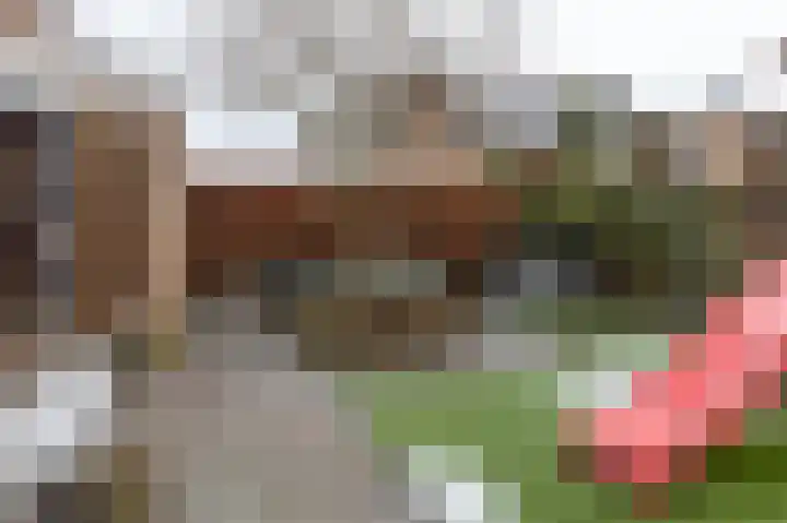 Schoutambt 20 Steenwijk thumbnail 58