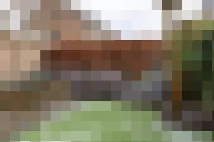 Schoutambt 20 Steenwijk thumbnail 59