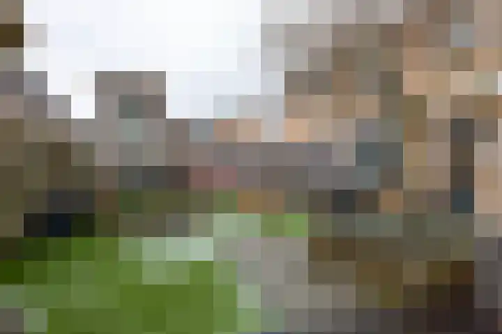 Schoutambt 20 Steenwijk thumbnail 60