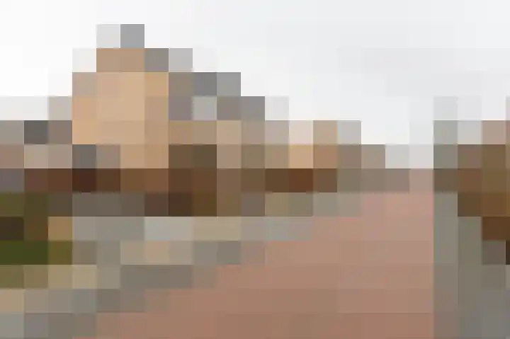 Schoutambt 20 Steenwijk thumbnail 65