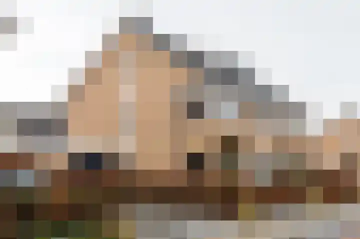 Schoutambt 20 Steenwijk thumbnail 66