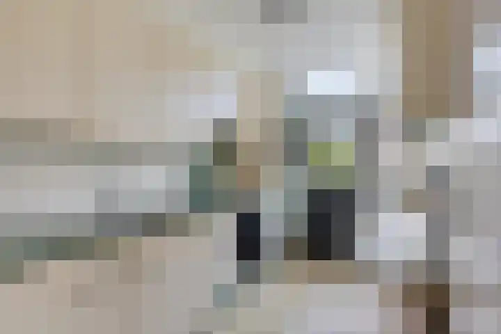 Schoutenlaan 22 Pijnacker thumbnail 10