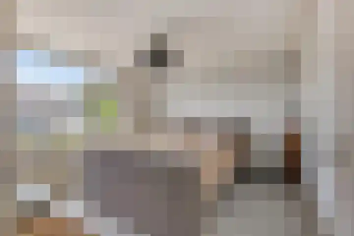 Schoutenlaan 22 Pijnacker thumbnail 11
