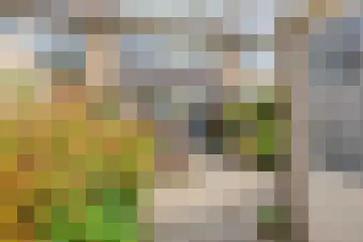 Schoutenlaan 22 Pijnacker thumbnail 19