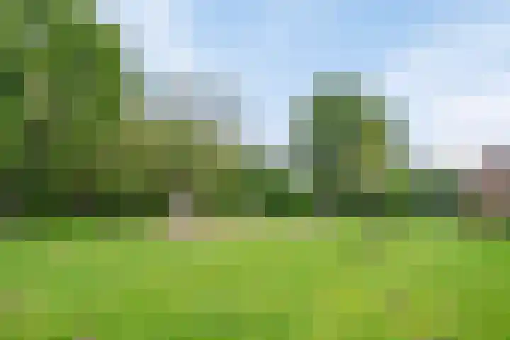 Schoutenlaan 22 Pijnacker thumbnail 20