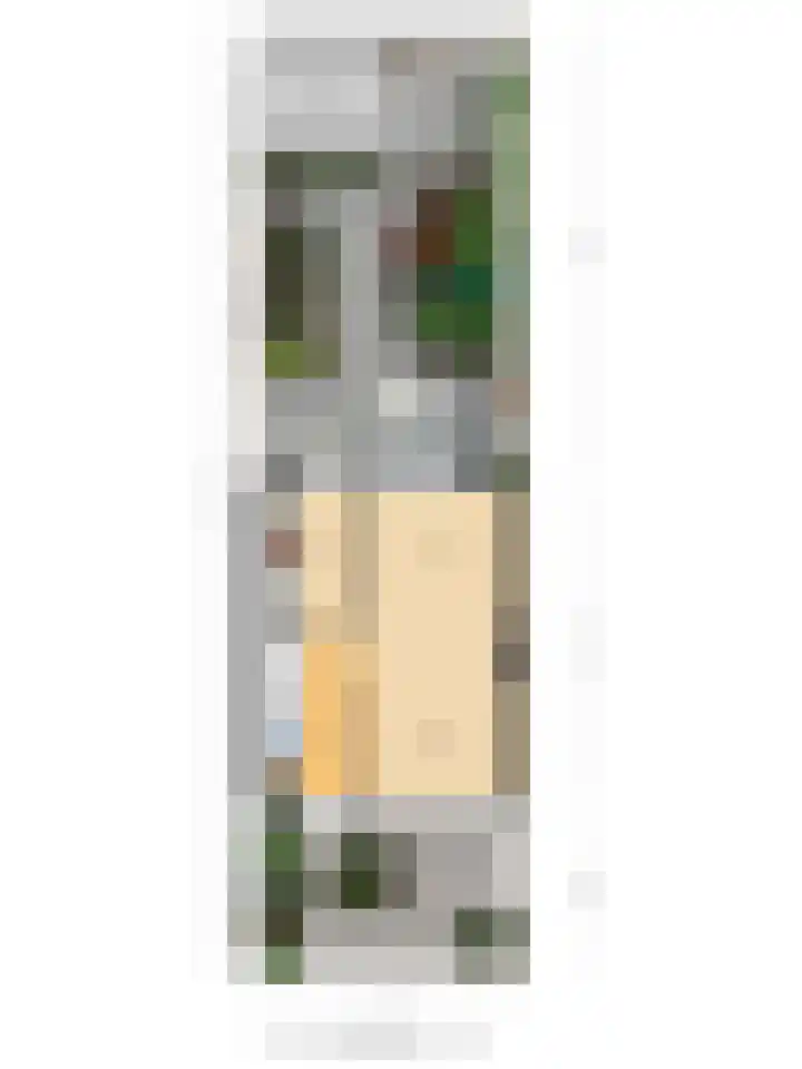 Schoutenlaan 22 Pijnacker thumbnail 22