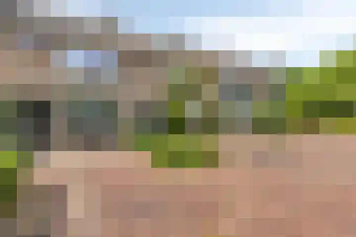 Schoutenlaan 22 Pijnacker thumbnail 6