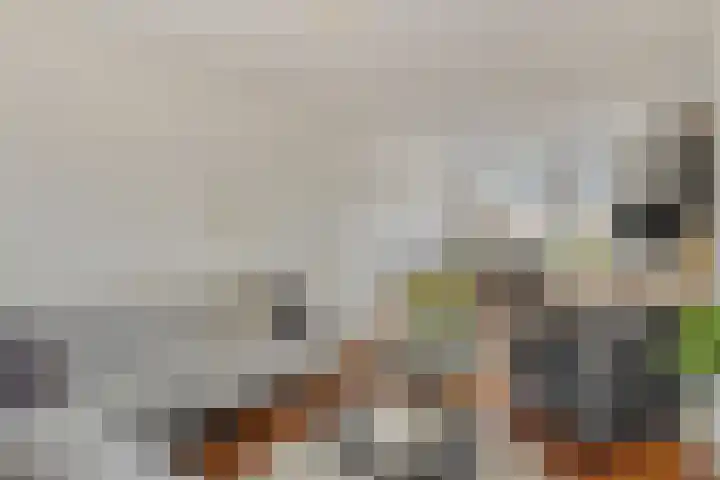 Schoutenlaan 22 Pijnacker thumbnail 8