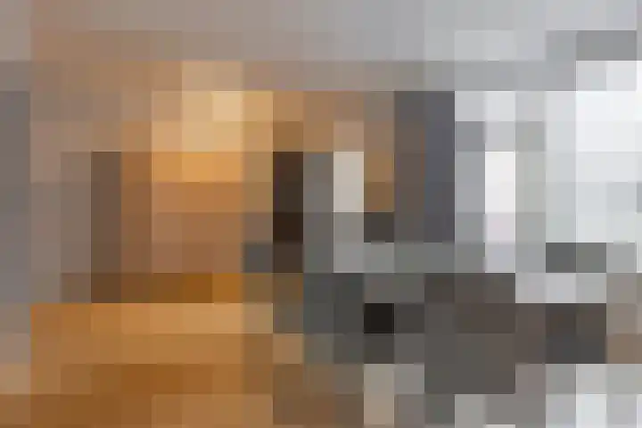Schoutlaan 34 Susteren thumbnail 14
