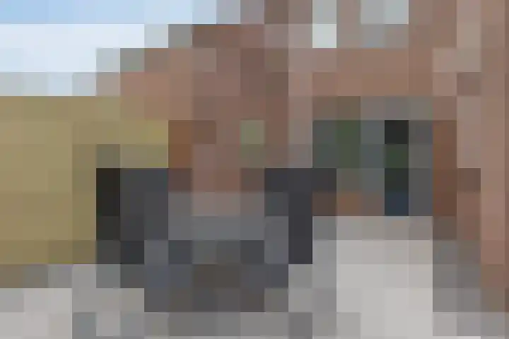 Schoutlaan 34 Susteren thumbnail 21
