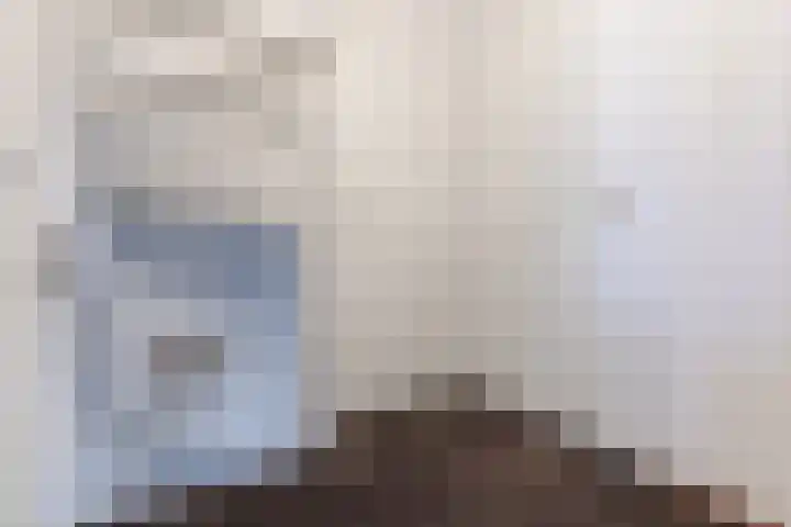 Schoutlaan 38 Susteren thumbnail 27