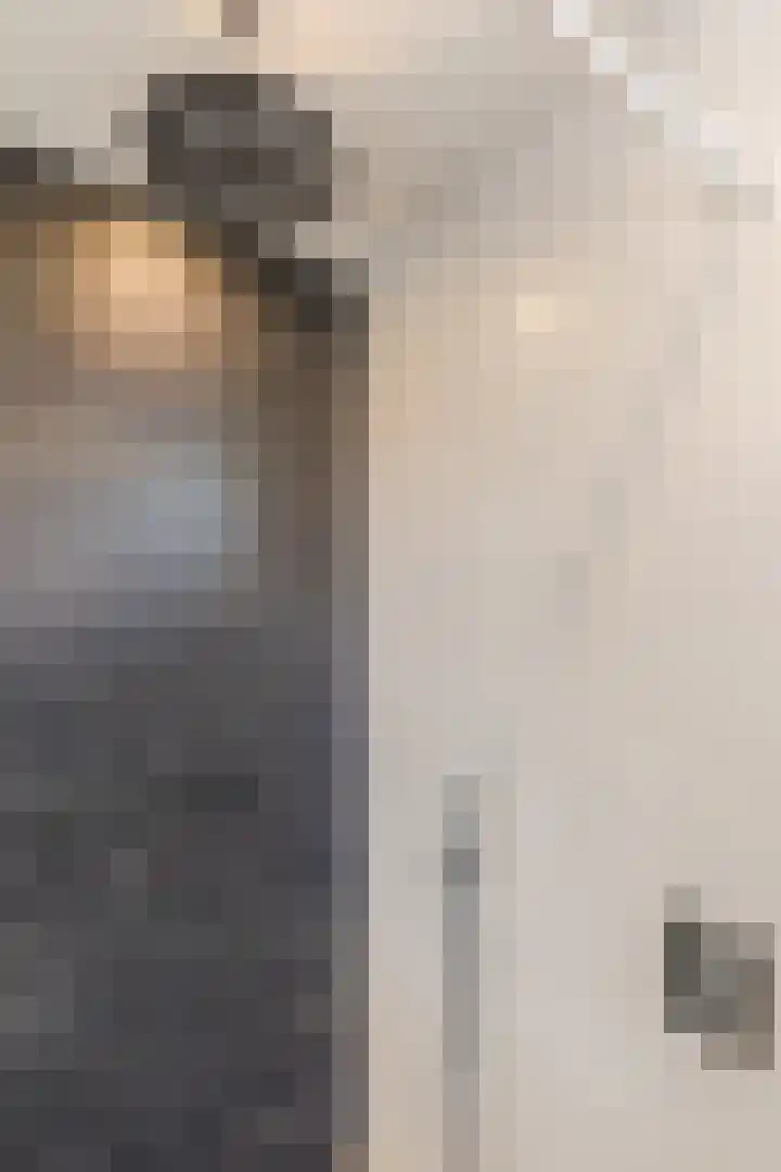 Schoutlaan 38 Susteren thumbnail 37