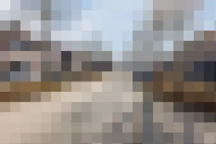 Schoutlaan 38 Susteren thumbnail 43