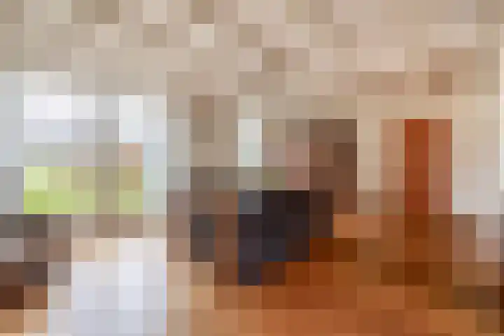 Schoutstraat 18 Waspik thumbnail 14