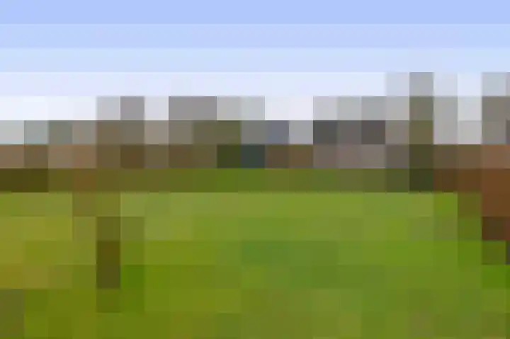 Schoutstraat 18 Waspik thumbnail 27