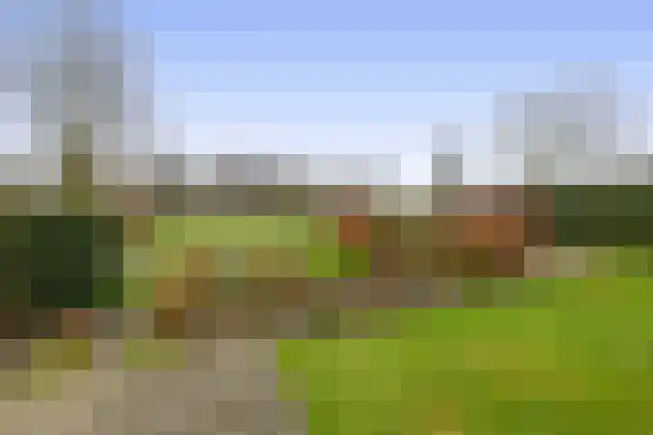 Schoutstraat 18 Waspik thumbnail 28